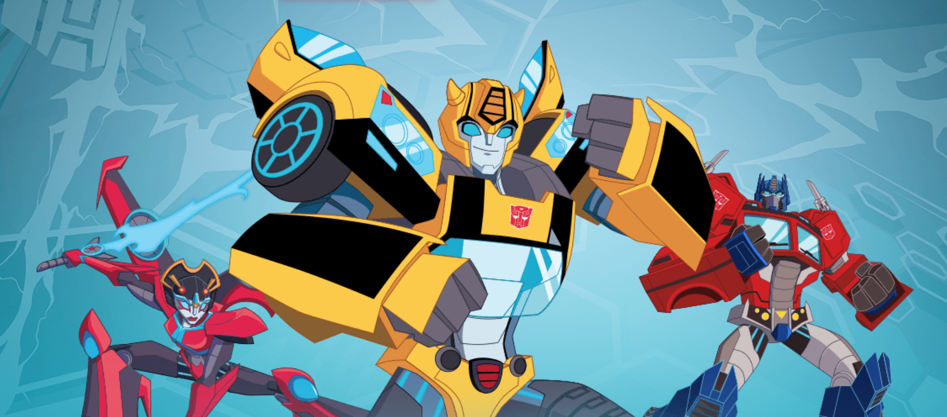 ToyArena Shop 1 ToyArena Shop -ToyArena Shop screen shot 2019 02 14 at 8.22.20 pm